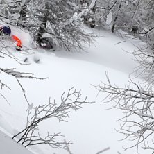 @mmalin. Photo: Jakob Sanne. Rider: Malin Karlsson.