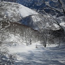 @Karhu.