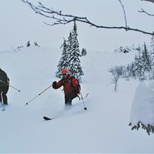 Vinterferie og nysn&oslash;
Forholdene er perfekte n&aring;. .