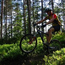 Ett litet men soft wheele drop. Photo: Tobbe &amp;quot;Bus&amp;quot; Ald&eacute;n. Rider: Peter Withfeldt.