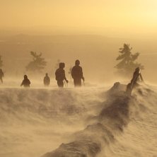 Photo: Martin Edr&eacute;n.