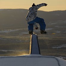 Rainbow. Photo: Erik Hammarsten. Rider: Jimpa Pettersson.