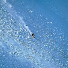 Fort e bra.. Photo: Mike Truelove. Rider: Patrik Leidstedt.
