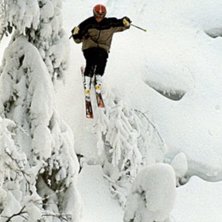 Photo: P&auml;r Lindholm. Rider: M&aring;rten Nor&eacute;us.
