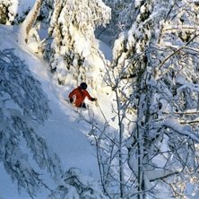 Photo: P&auml;r Lindholm. Rider: Anders Persson.