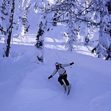 Sn&ouml;, mycket sn&ouml;.... Photo: Jesper Andersson. Rider: Thomas Hellstr&ouml;m.