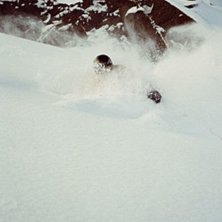 Photo: Sofia Johansson. Rider: Daniel Eriksson.