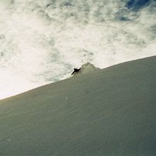 Photo: Sofia Johansson. Rider: Daniel Eriksson.