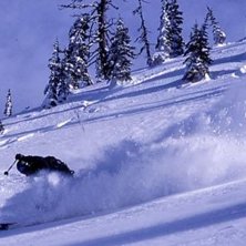 Photo: Thomas Hellstr&ouml;m. Rider: Jesper Andersson.