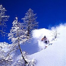 Photo: Mikael Pilstrand. Rider: Ted Josefsson.