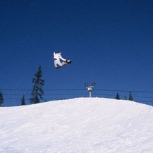 Photo: Andreas Landgren. Rider: Anders Bondesson.
