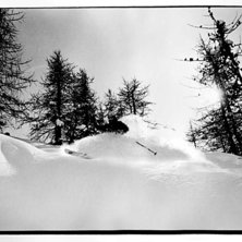 lite mys&aring;kning mellan l&auml;rktr&auml;den.. Photo: petter mildh. Rider: jakob wallin.