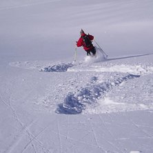 Bara s&aring; g&ouml;tt. Photo: christer nordell. Rider: Per Johannesson.
