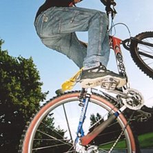 Photo: Daniel Johansson. Rider: David Olofsson.