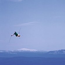 Photo: Endre L&oslash;vaas. Rider: Terje Nordg&aring;rd Larsen.