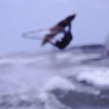 Photo: Mikael Pilstrand. Rider: Per Nilsson.