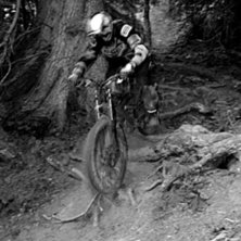 Photo: Roger Hansson. Rider: Robert Ryttse.