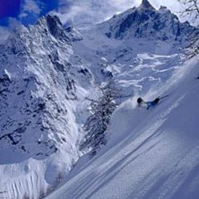 Photo: Juha Laine. Rider: Jarmo Mets&auml;koivu.