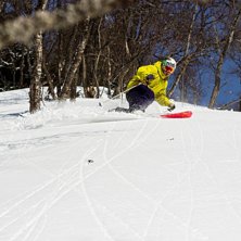 Photo: Eric Skytt. Rider: Mattias Wrede.