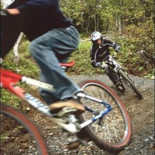 Photo: Daniel Johansson. Rider: david Olofsson och Tomas Wiklund.