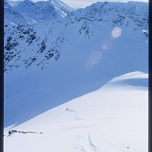 N&aring;gra goa sv&auml;ngar, synd p&aring; apsp&aring;ren i skuggan . Photo: Bj&ouml;rn Michaelsen. Rider: Jonas Bergman.