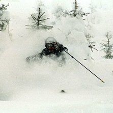 Photo: Kristian Helzel. Rider: Jesper &Ouml;sterberg.