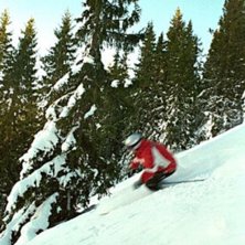 Photo: Kristian Helzel. Rider: Jens Sj&ouml;borg.