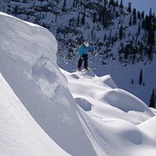 Photo: Johan St&aring;hle. Rider: Carl Winberg.