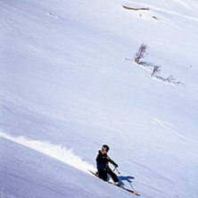 Meg selv p&aring; telemark p&aring; Rauland. Kjempe dag med . Photo: ?. Rider: &Oslash;yvind S&aelig;tra.