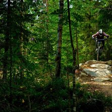 Photo: Emrik Jansson. Rider: Peter Nilsson.