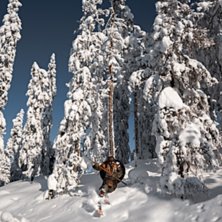 Telemarkskiing vikingstyle!!  

&Aring;kare Henrik No.