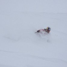 Gustav. Rider: Gustav sv&auml;rd.