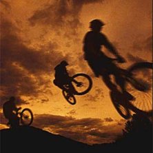 Photo: Therese Lundgren. Rider: Pemberton boys.