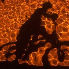 Photo: Therese Lundgren. Rider: Wade Murray.