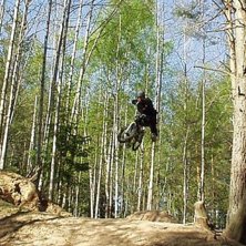Photo: Erik Hammarstr&ouml;m. Rider: Thomas Ekelund.