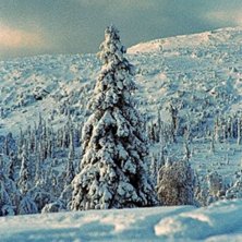 None. Photo: The Mike. Rider: Vemdalen.