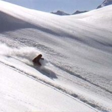 Photo: Henrik Johnsson. Rider: Magnus F&auml;rm.