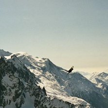 Photo: Peter Axelsson. Rider: Alpkaja.