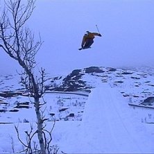 Photo: Samuel Karlstr&ouml;m. Rider: Niklas Karlstr&ouml;m.