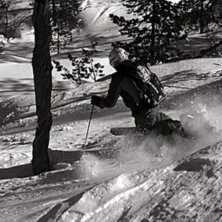 Photo: Juha Laine. Rider: Timo Lauttaj&auml;rvi.