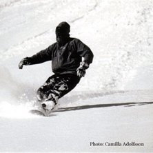 Photo: Camilla Adolfsson. Rider: Johan Engman.