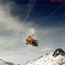 Photo: Camilla Adolfsson. Rider: Johan Engman.
