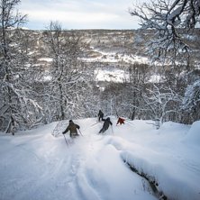 Missa inte det b&auml;sta, skogen i Osthang!. Photo: Rickard Bergstedt.