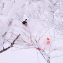 Photo: Stuart. Rider: Andreas Ericson.