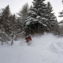 En otrolig vecka i Chamonix!
Massor av puder och . Photo: Claes Israelsson. Rider: Niklas Axelsson.