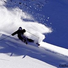 Photo: Mikael Pilstrand. Rider: Ted Josefsson.