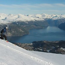 Photo: L. Jansson. Rider: B. R&oslash;nnestad.