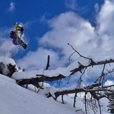Photo: Nives Hollsten. Rider: Niklas Hollsten.