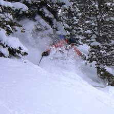 Photo: Johan Dar&eacute;n. Rider: Anders Lindgren.