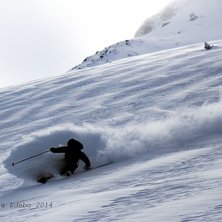 Photo: Gabriella Edebo. Rider: William Nilsson.